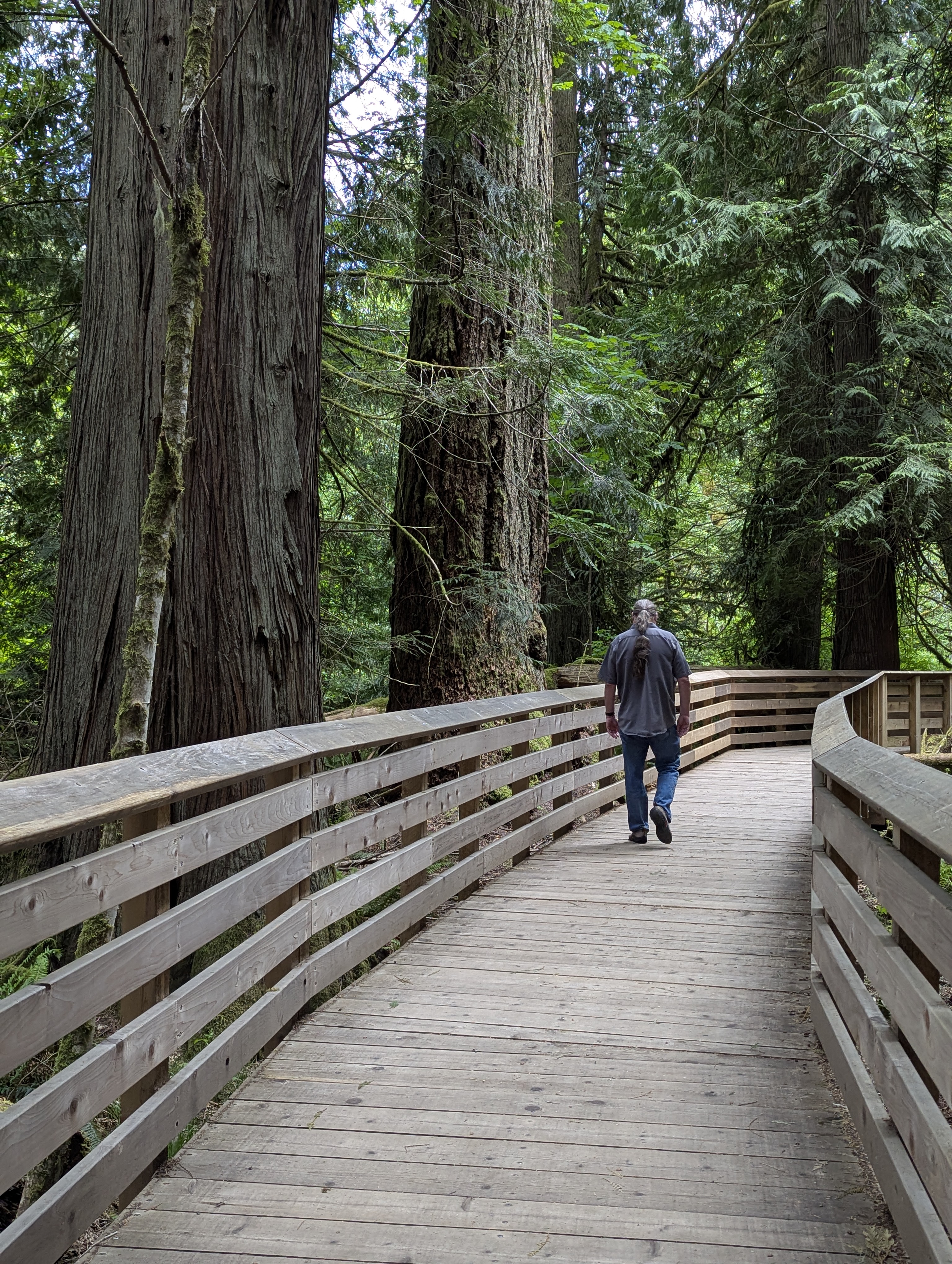 Birthday Trip to Canada, Cathedral Grove, Vancouver Island